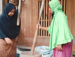 Catat!  100 Lesung  akan Meriahkan Fetival Budaya Desa Tandeallo