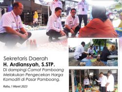 Sekda Majene dan Camat Pamboang Pantau Harga Komoditi di Pasar Pamboang