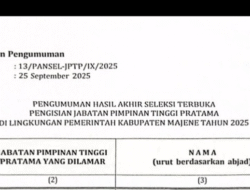 ‎Hasil Seleksi Terbuka JPT Pratama Kabupaten Majene 2025 Disorot, Diduga Libatkan Nama Bermasalah