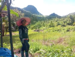 Di Balik Label “Single Parent”: Kisah Pengorbanan dan Stigma